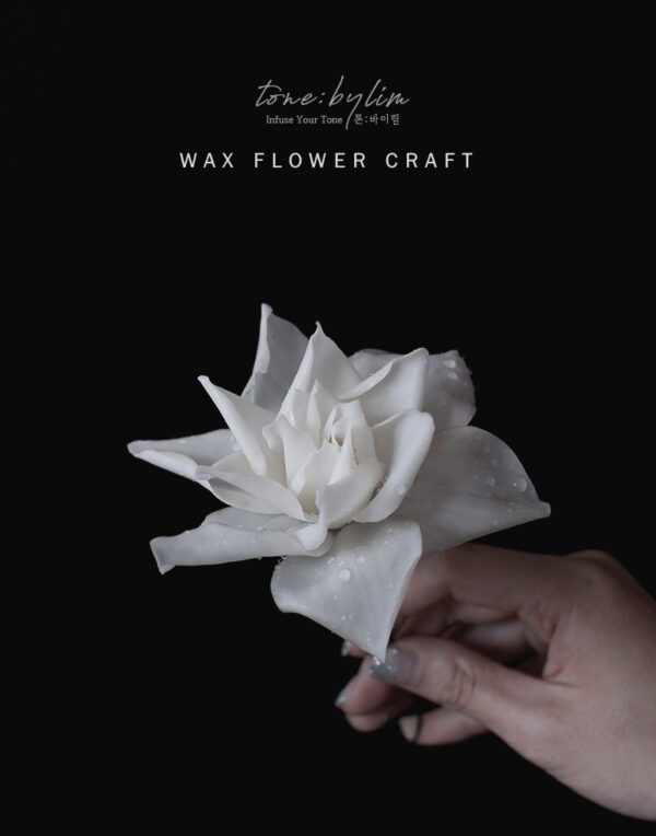 Wax Flower - Master 1 - 이미지 7