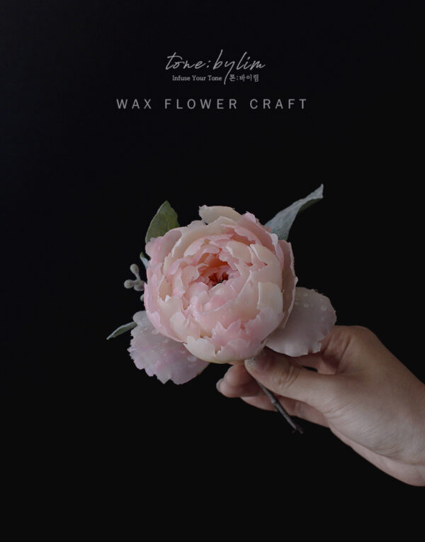 Wax Flower - Master 1 - 이미지 2